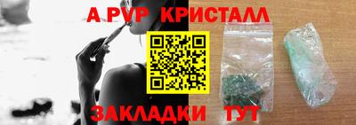 прущие грибы Кудымкар