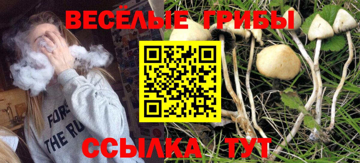 Братск  Псилоцибиновые грибы MAGIC MUSHROOMS  Вход с VPN  Псилоцибиновые грибы MAGIC MUSHROOMS 