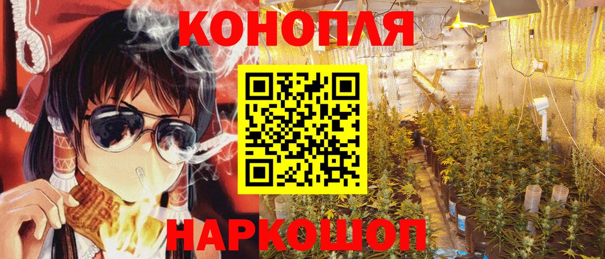 Канабис план  Бошки марихуана ГИДРОПОН  Каннабис AK-47  Шишки марихуана THC 21%  Братск  Вход с VPN 